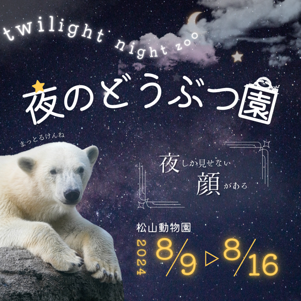 松山動物園 夜のどうぶつ園 バナー - ラフターデザイン