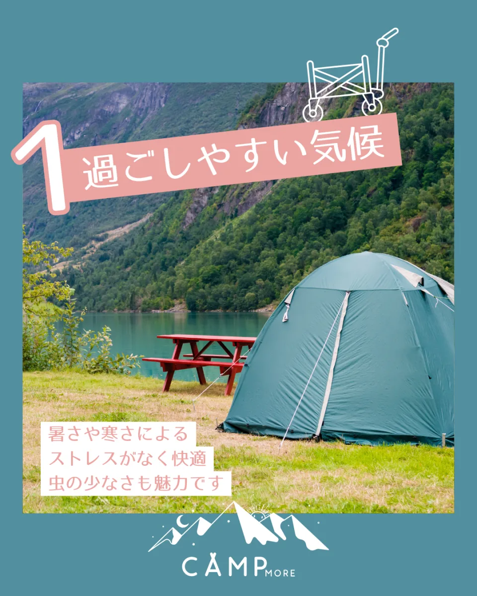 CAMP MORE SPRING CAMP インスタ投稿画像